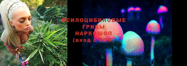 МДПВ Красноперекопск